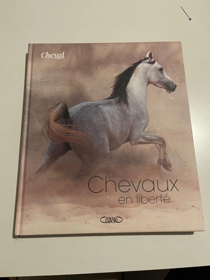 Chevaux en liberté - photo numéro 1