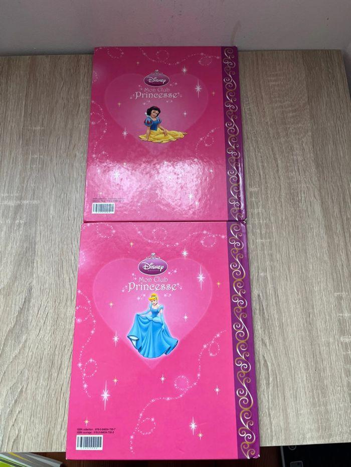 Lot de 2 livres princesse Disney - photo numéro 2