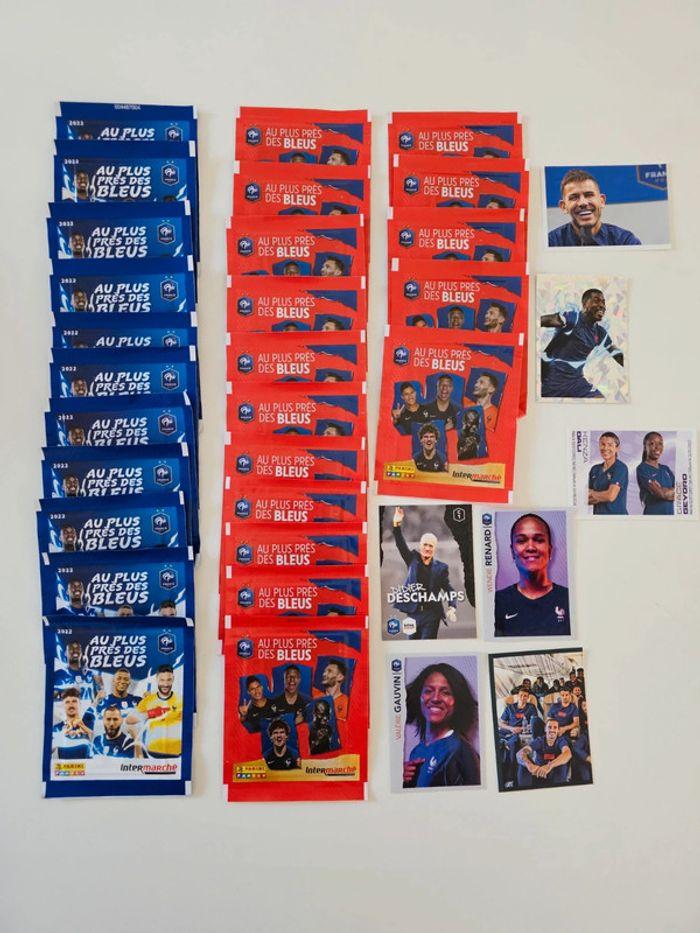 Cartes Panini foot - photo numéro 1