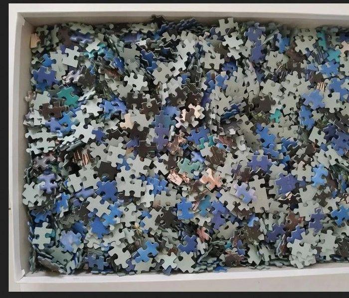 Puzzle 3000 pièces - photo numéro 2