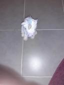 Peluche enfants  Licorne