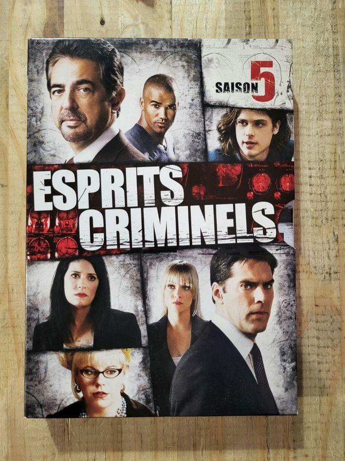 Esprits criminels dvd - photo numéro 6