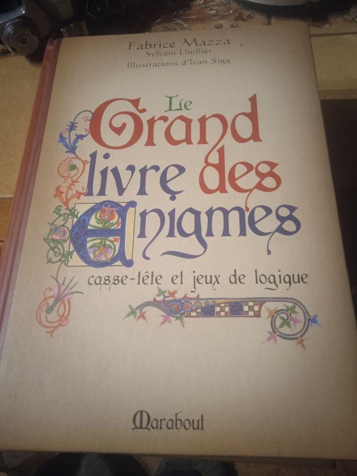 Le grand livre des énigmes,casse - tête et jeux de logique - photo numéro 1