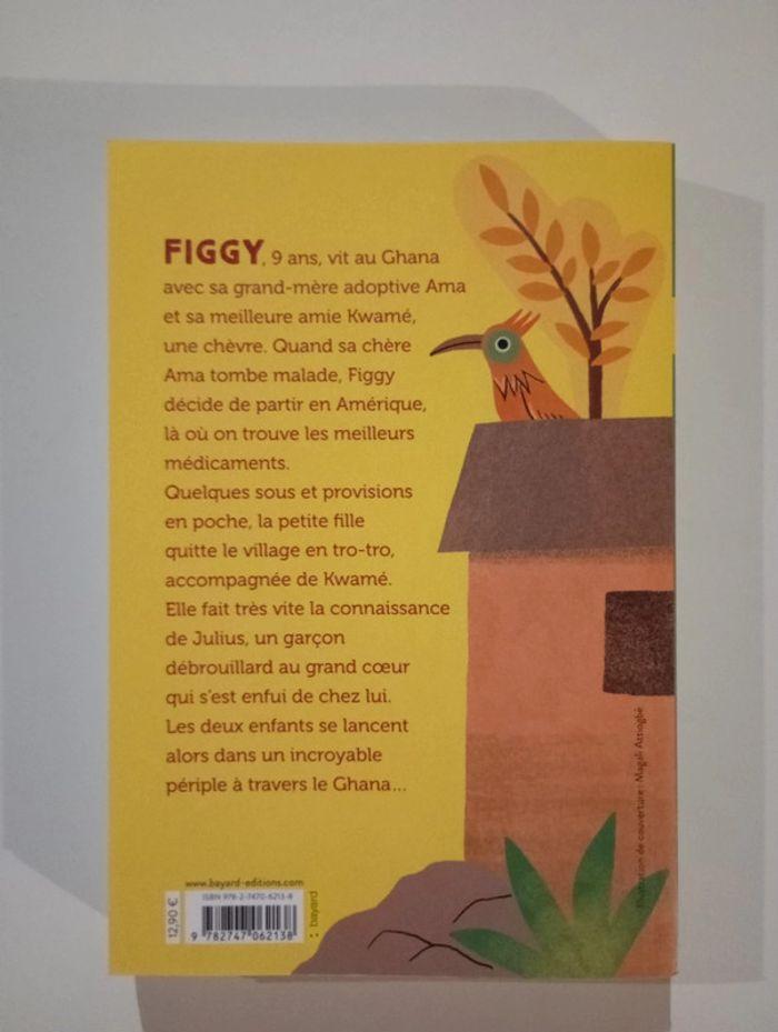 Le grand voyage de Figgy - photo numéro 2