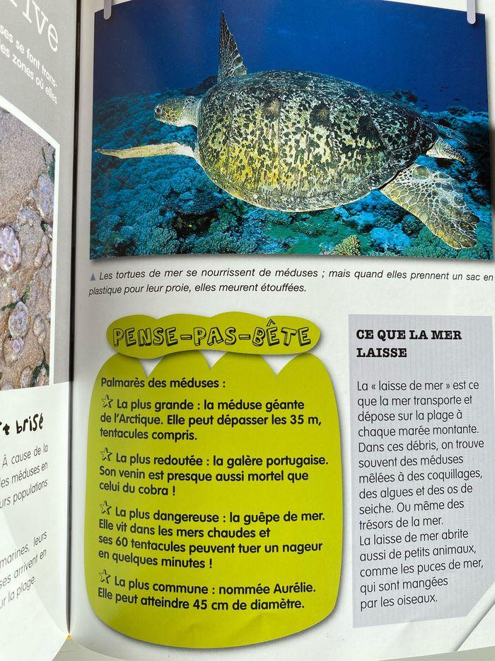 Livre Ma planète mer - photo numéro 1