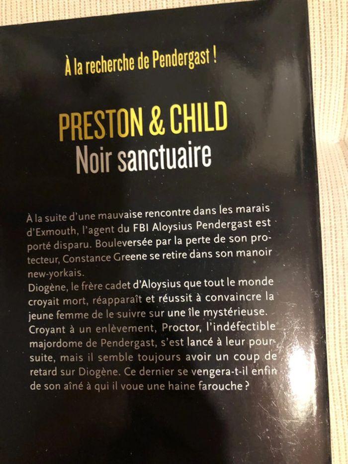 Livre noir sanctuaire presto&Chili - photo numéro 3