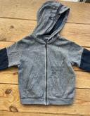 Gilet gris capuche