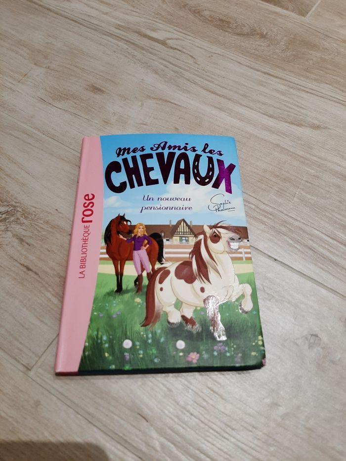 Lot livres et coloriage theme chevaux - photo numéro 10