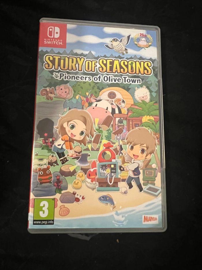 Jeu Switch story of seasons - photo numéro 1