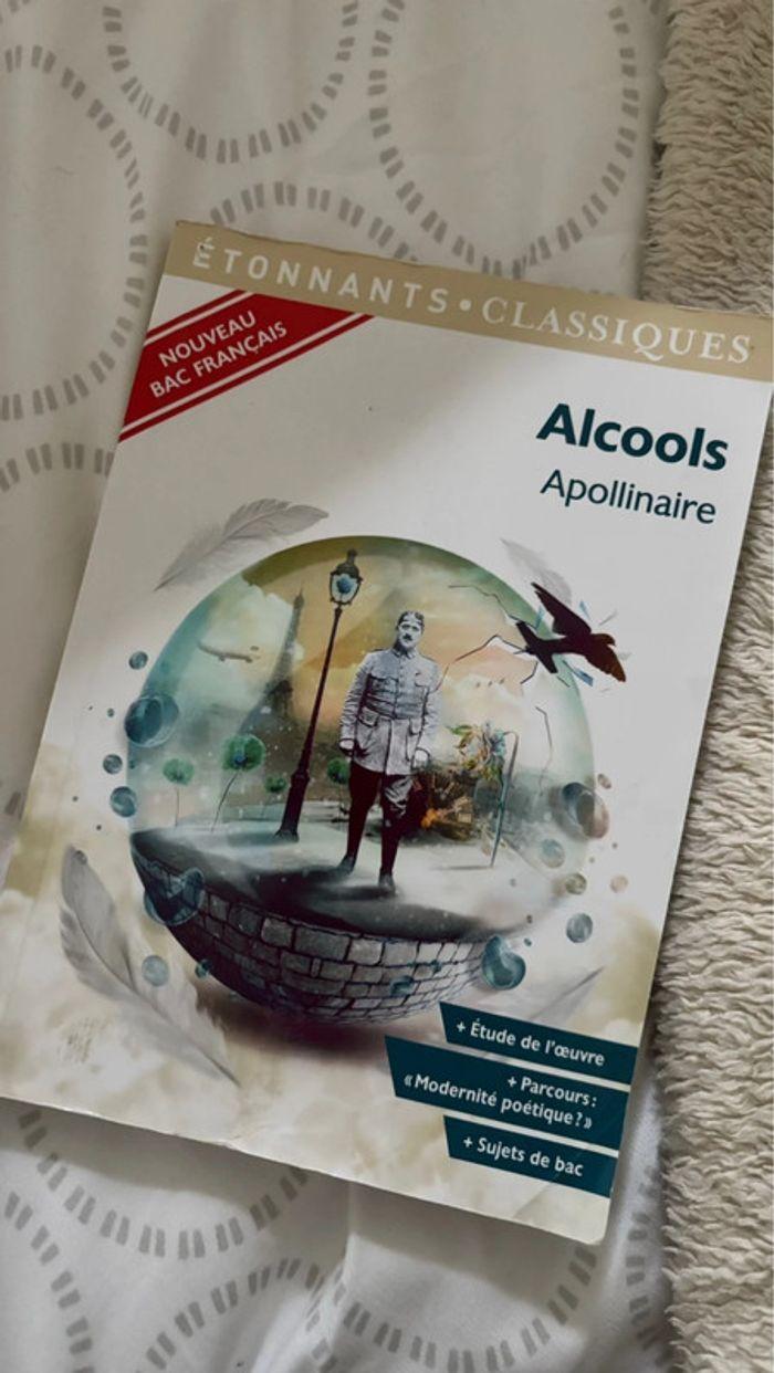 Livre Alcools Apollinaire / bac de français - photo numéro 1