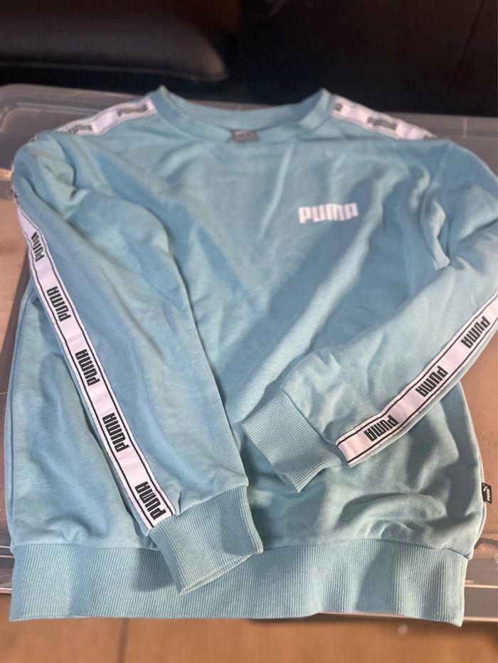 Pull puma - photo numéro 2