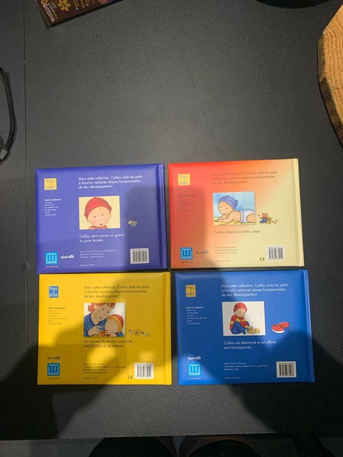 Livres caillou - photo numéro 2