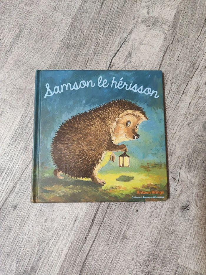 Livre enfant Samson le hérisson - photo numéro 1