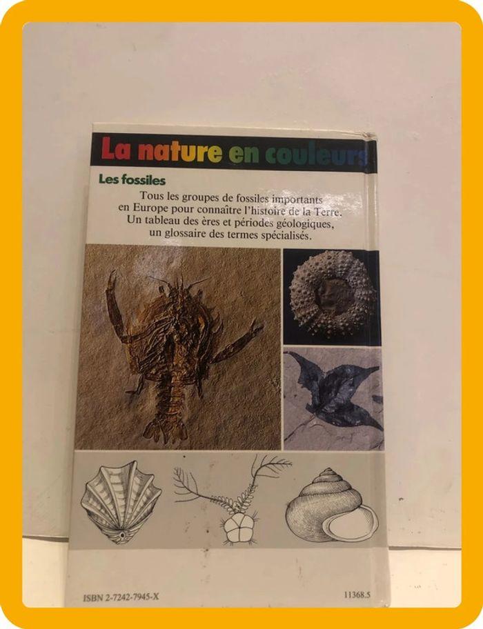 Livre la nature en couleurs les fossiles - photo numéro 5