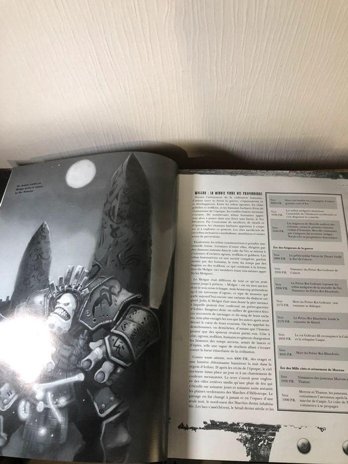 Livre stratégie guide jeux de rôle D&D plateau royaume d’acier guide du monde full metal fantasy - photo numéro 7