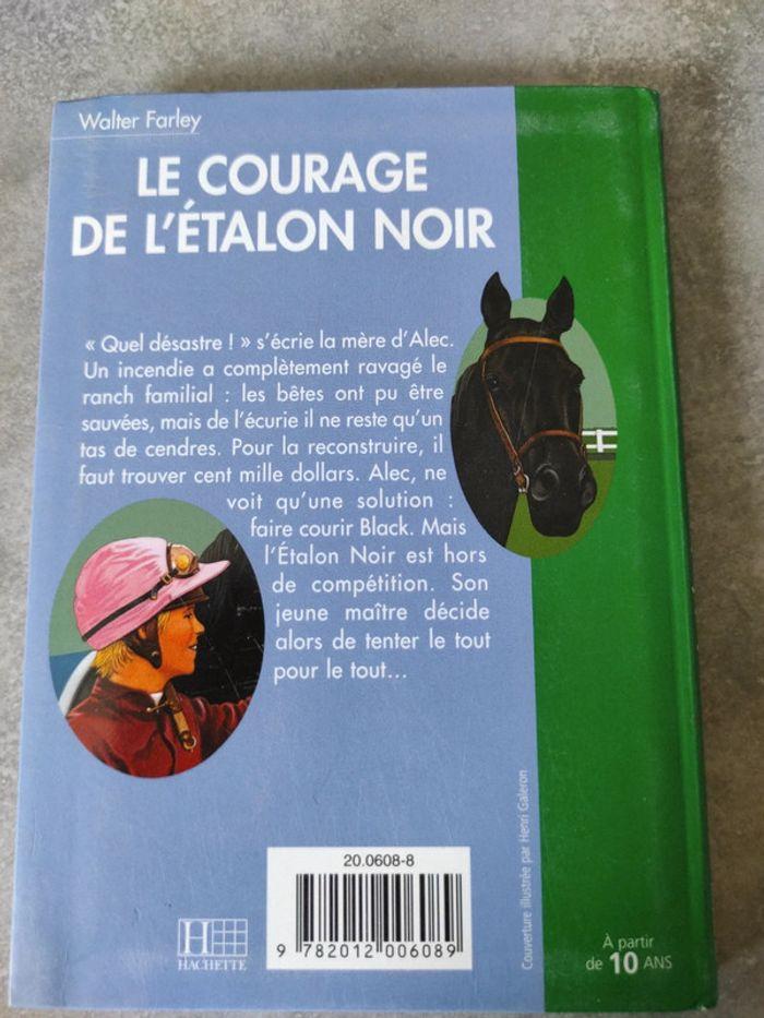 Le courage de l'étalon noir - photo numéro 2