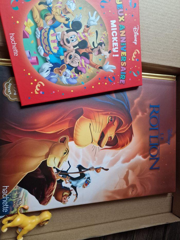 Livre Disney roi lion - photo numéro 2