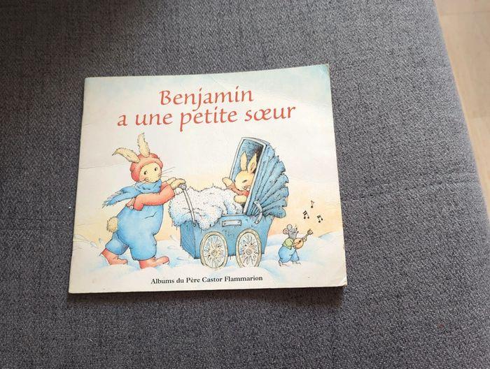 Livre Benjamin a une petite sœur - photo numéro 1