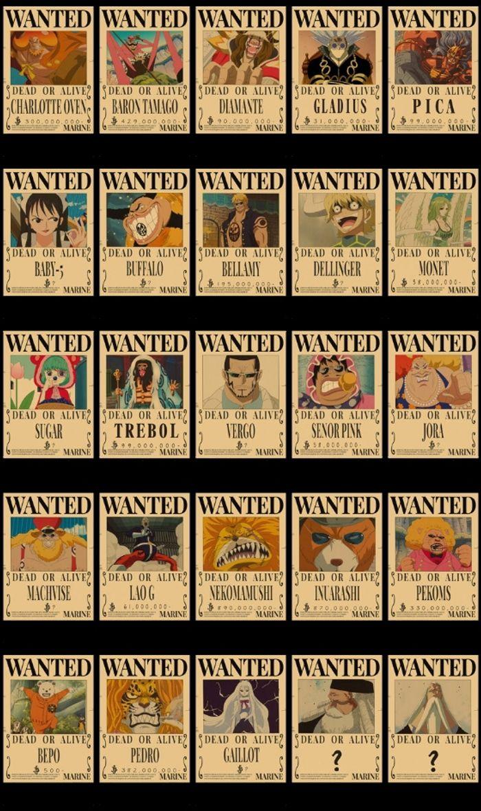 Poster wanted one piece - photo numéro 3