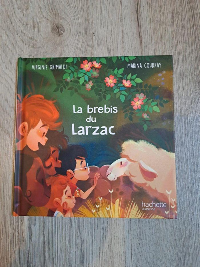 La brebis du larzac - photo numéro 1