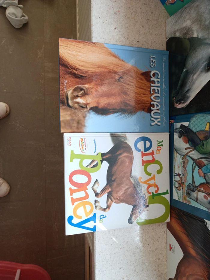 Lot de livres sur les chevaux - photo numéro 2