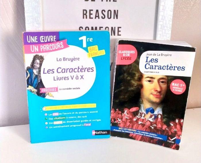 Lot Livre bac : Jean de la Bruyère, l'œuvre plus la méthodologie - photo numéro 9