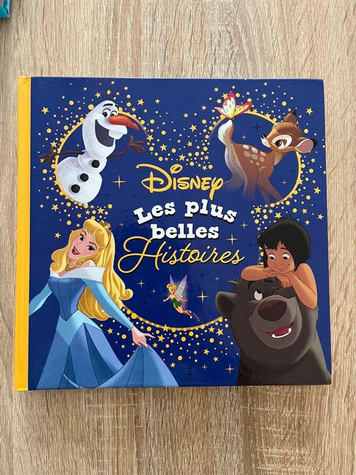 Livre disney - photo numéro 1