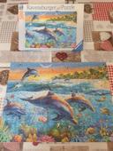 Puzzle  dauphins  500  pièces