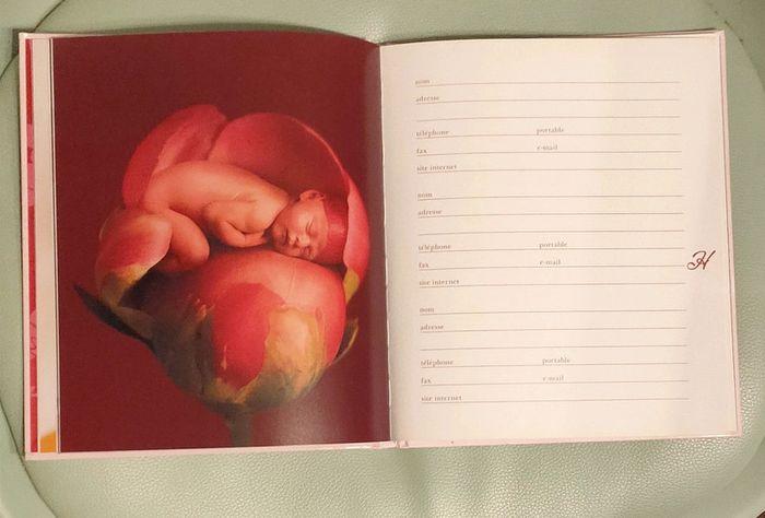 Carnet d'adresses Anne Geddes - Neuf - photo numéro 4