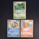 Carte Pokemon : Starters 2ème générations - Emeraude