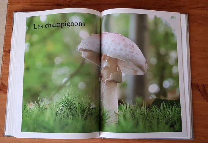 Encyclopédie de la nature - photo numéro 4