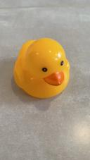 Canard bain