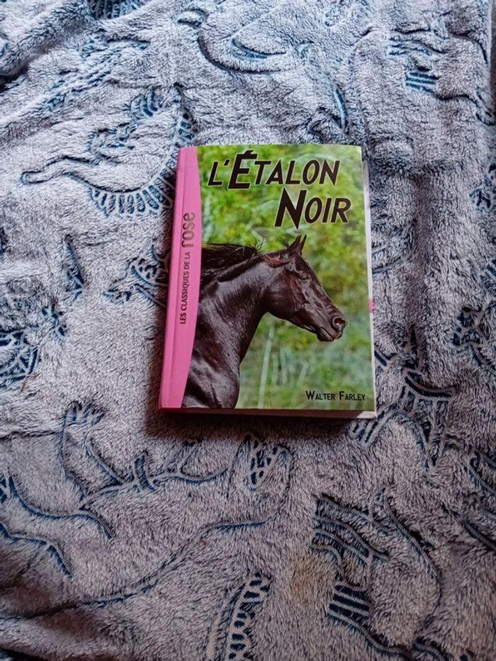 Livre l etalon noir - photo numéro 1