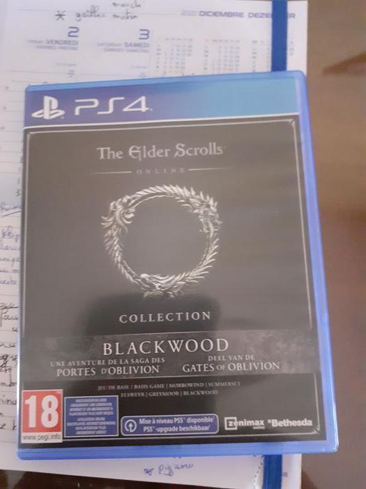 ps4-the elder scrolls - photo numéro 1