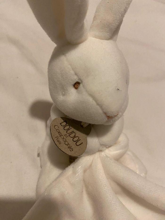 Lapin doudou - photo numéro 2