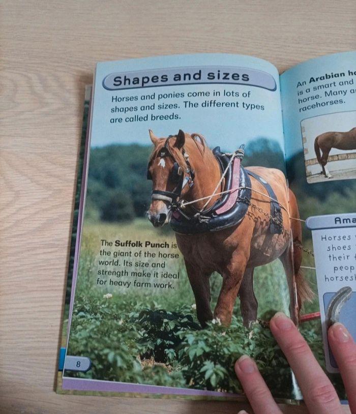 Livre chevaux poneys - photo numéro 5