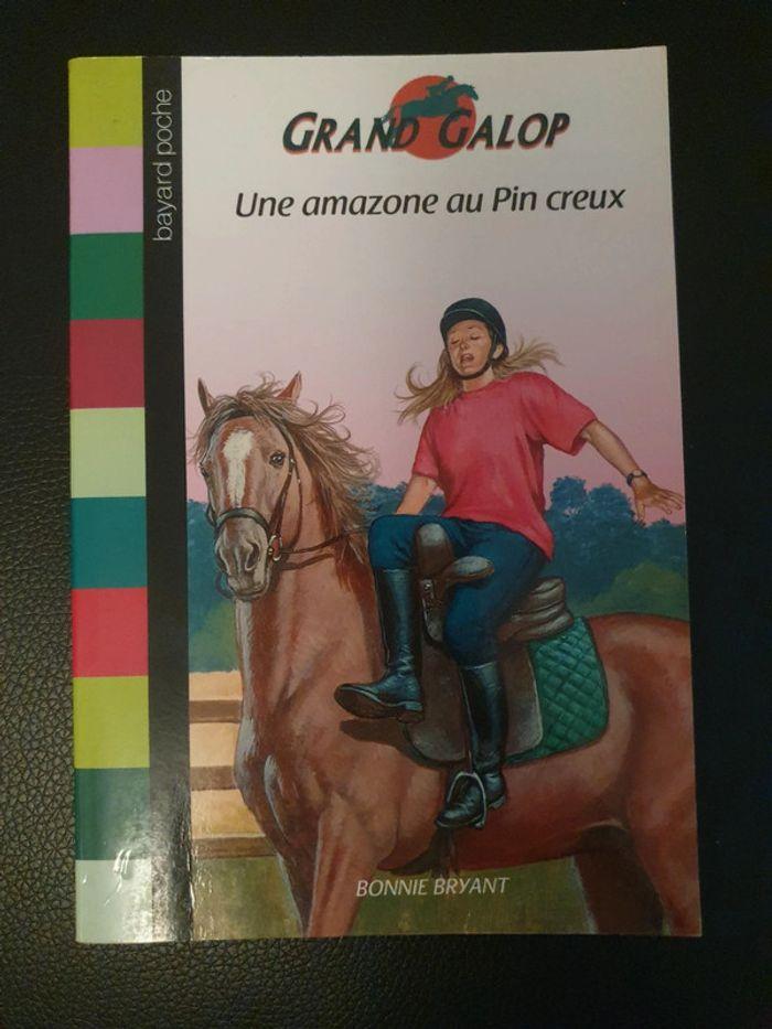 Lot 10 livres chevaux grand galop - photo numéro 10