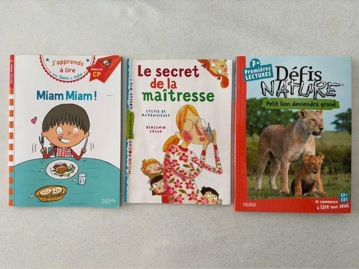 Lot 3 livres CP/CE1 - photo numéro 1