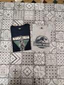 Lot de 2 tee-shirts 14 ans