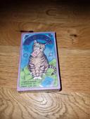 Jeu de carte cat tarot