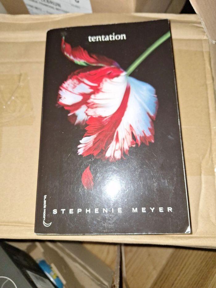 Tentation de Stephanie Meyer - photo numéro 2