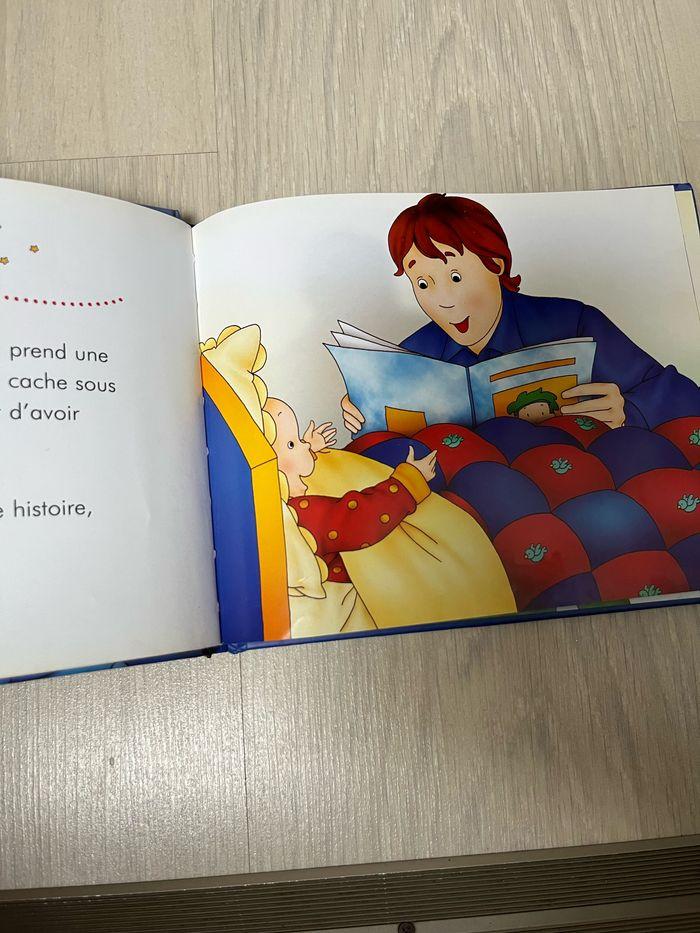 Livre Caillou - photo numéro 4