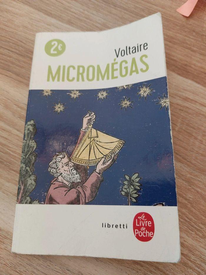 Micromegas - photo numéro 1