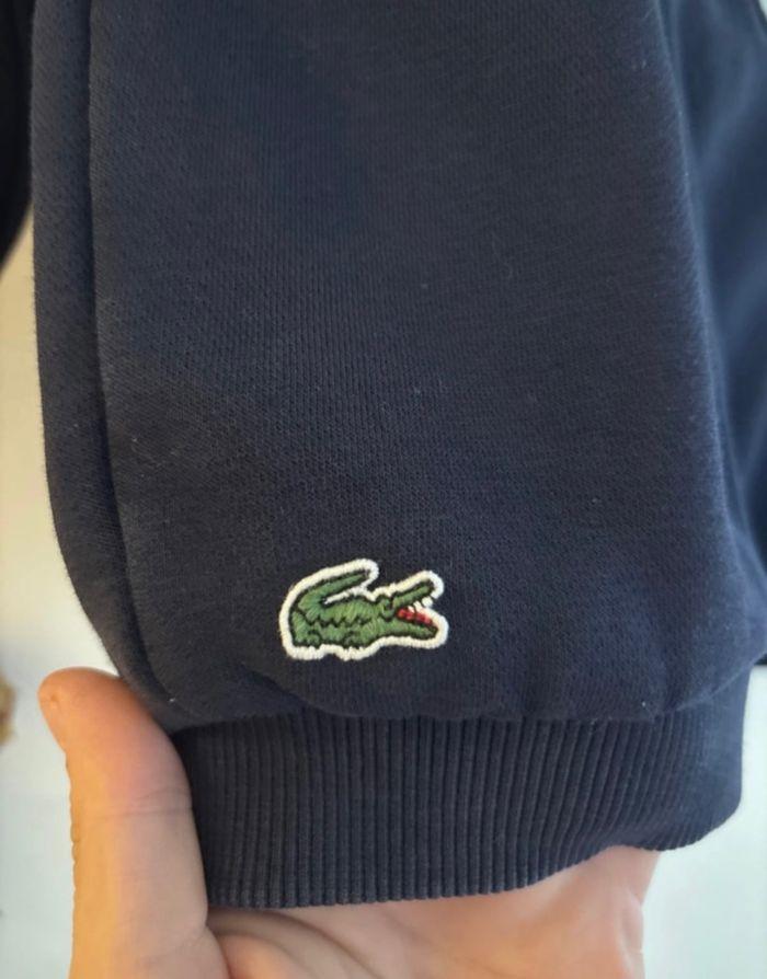 Pull Lacoste Mickey - photo numéro 7