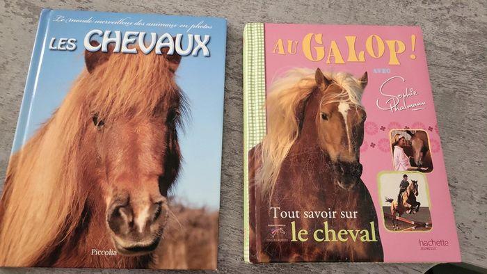 Lot de 2 livres sur les chevaux - photo numéro 1