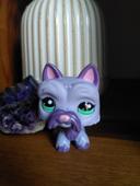 Chien Littlest PetShop #2241