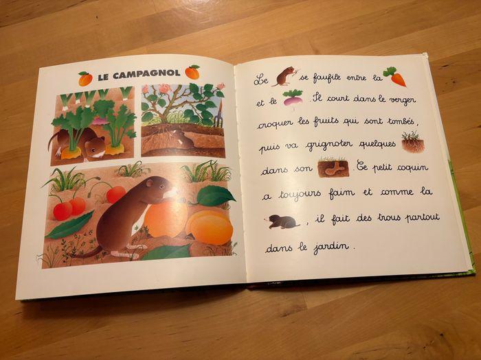 Livre enfant - Je lis avec les animaux du jardin - photo numéro 8