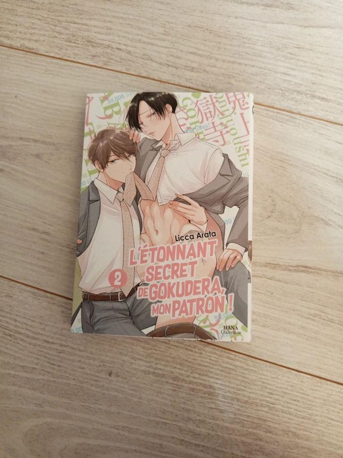 L'étonnant secret de Gokudera mon patron tome 2 boys love hana collection - photo numéro 1