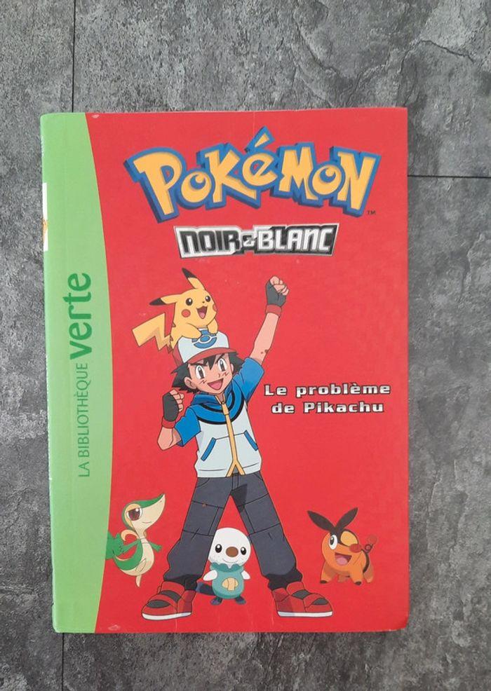 Pokemon le problème de pikachu - photo numéro 1