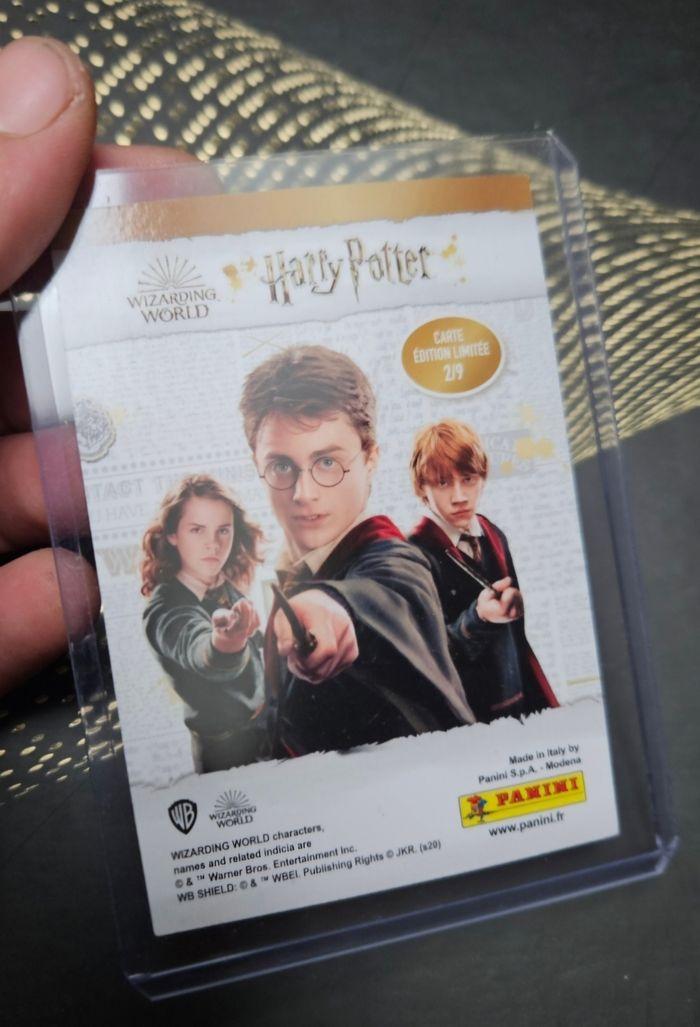 Harry potter bienvenue à poudlard carte 2 - photo numéro 2